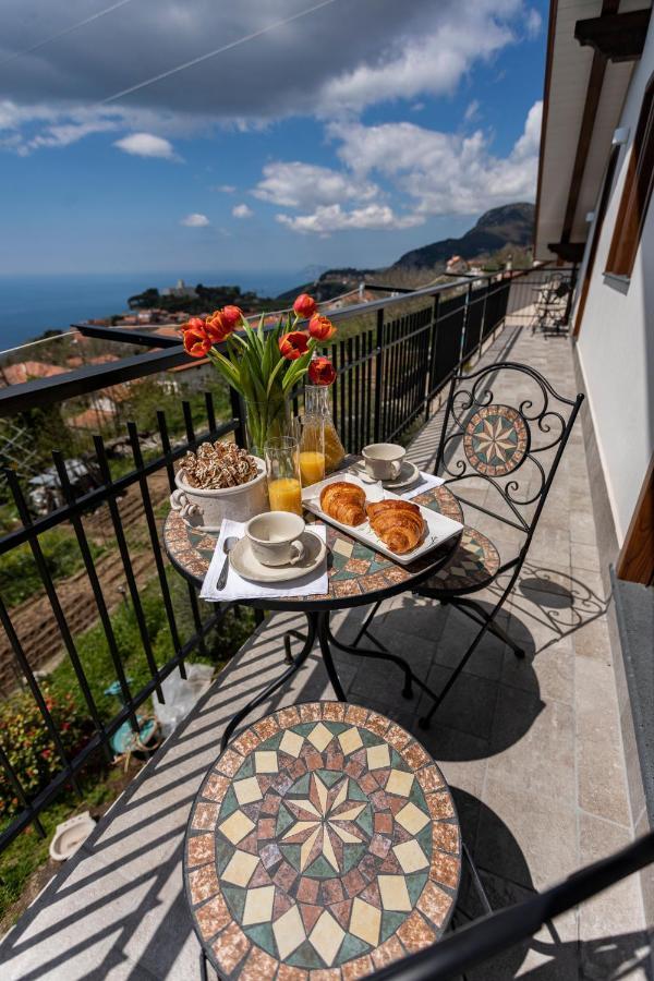 Agriturismo Punta San Lazzaro 阿杰罗拉 外观 照片
